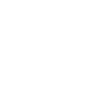 valvula